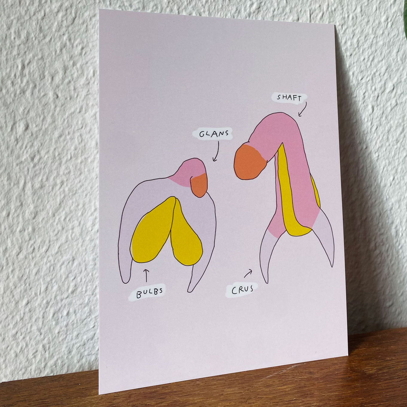 Anatomi - A4 & A5 print
