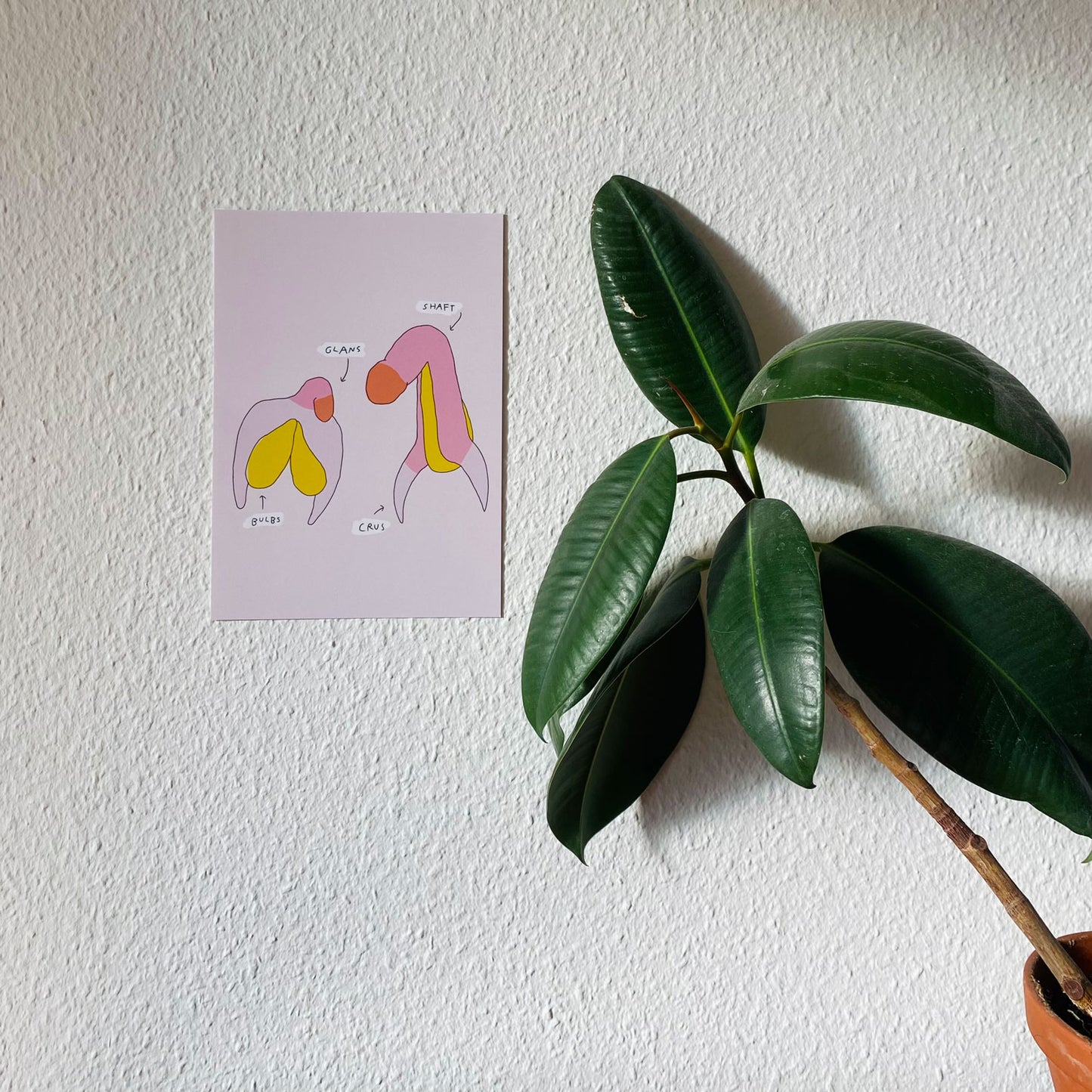 Anatomi - A4 & A5 print